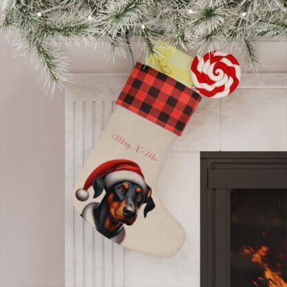 The Dobe´s Christmas Stocking - nature uc - Image 4